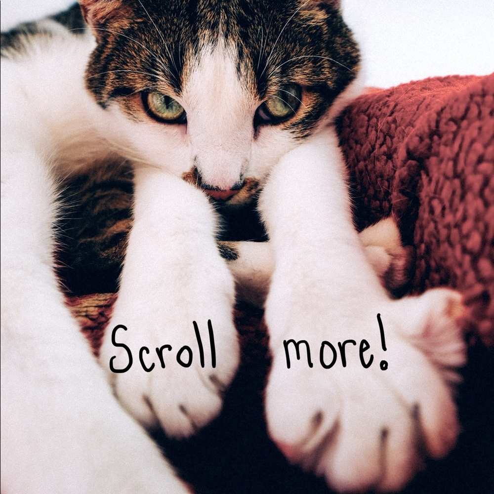 👍Keep scrolling to see great deals!!